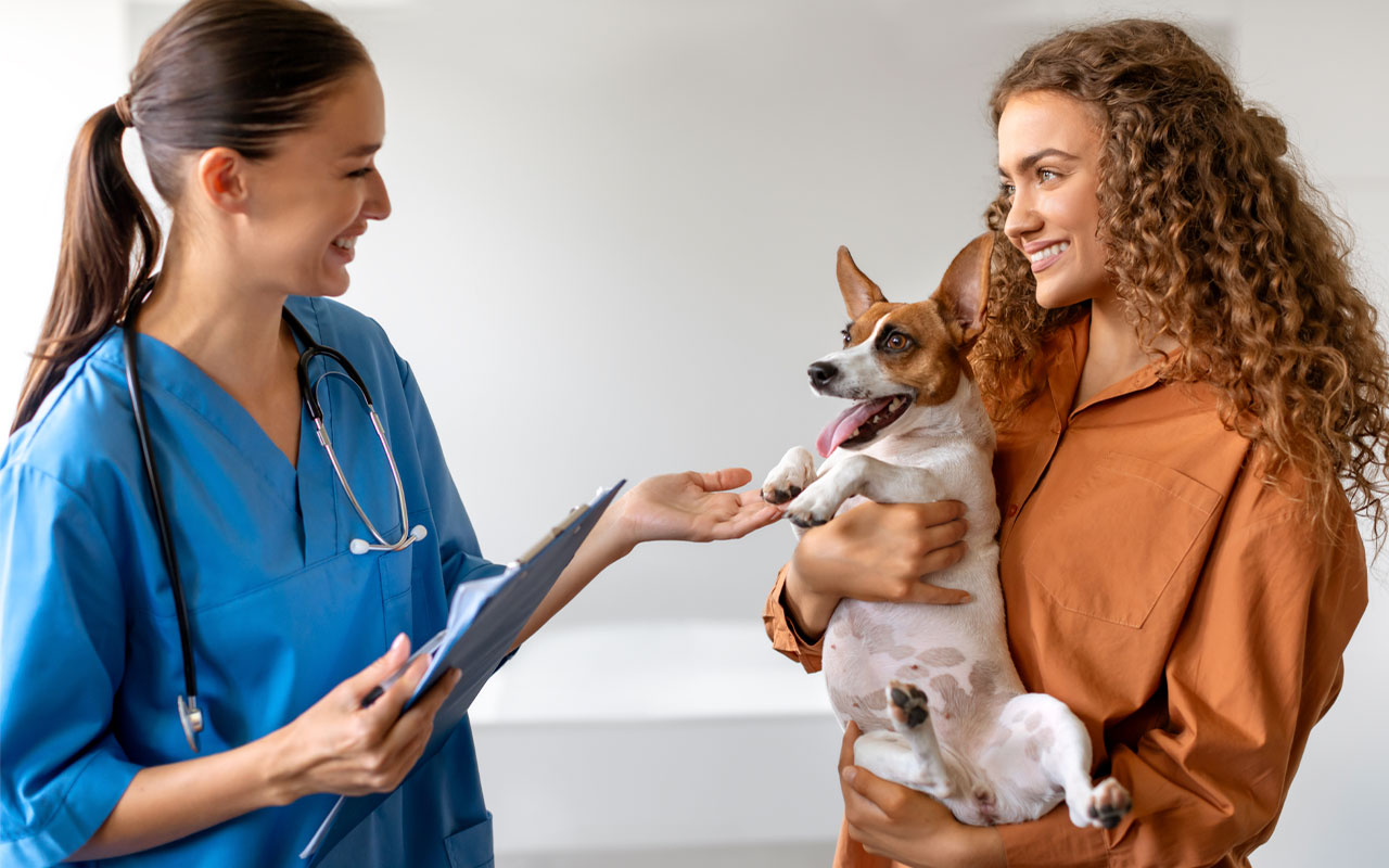 The Future of Veterinary Medicine: How Technology is Changing Animal Care
